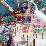 Wild Bear Falls Indoor Water Park