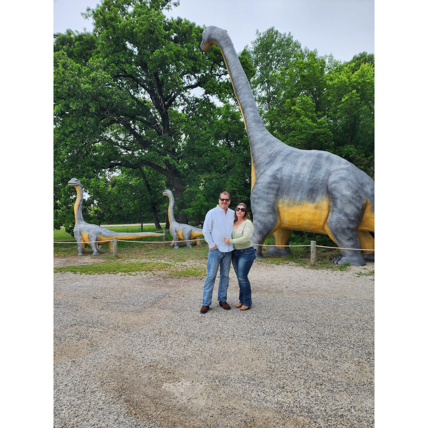 Our day out with the Dinosaurs!