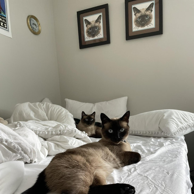 Spoil Minka and Milo