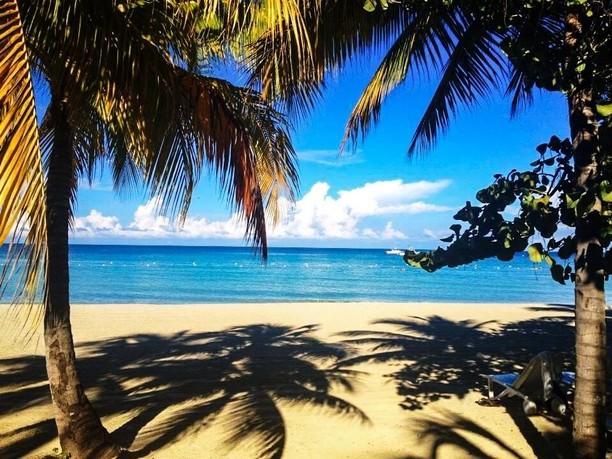 The Wedding Website of Lindsey North and Dietrich Parcells