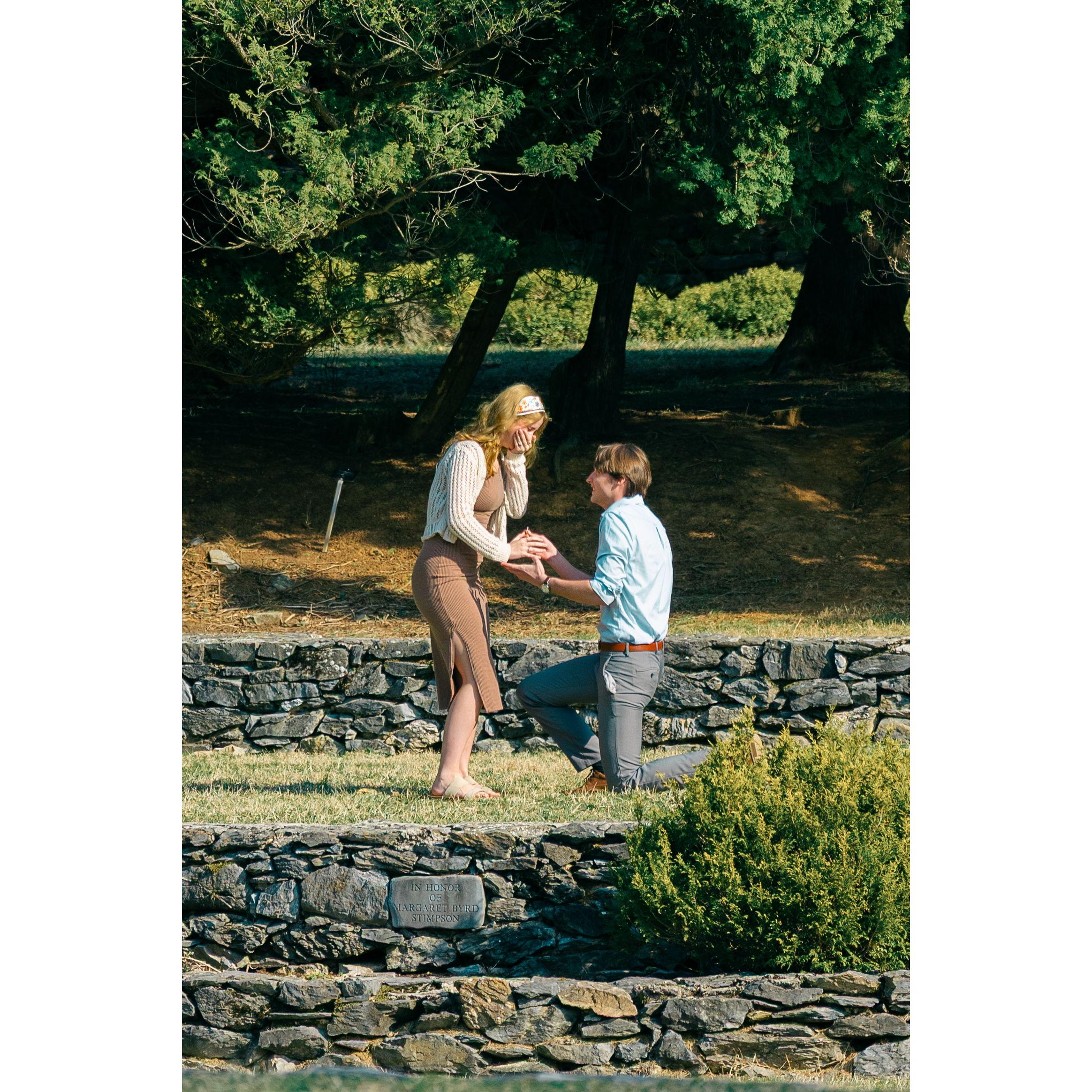 Such a beautiful, perfect moment. (still not over it)