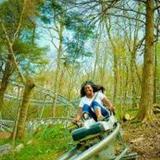 Wilderness Run Alpine Coaster