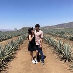 Explore Tequila, Jalisco