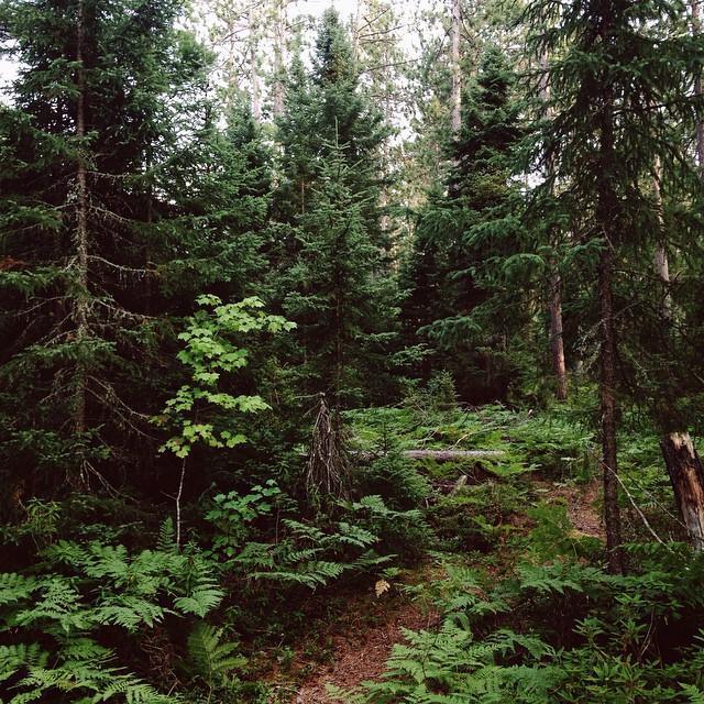 August 23, 2015:
Samantha took this shot during one of their camping trips together. 🏕️
Culhane Lake, Upper Peninsula, MI