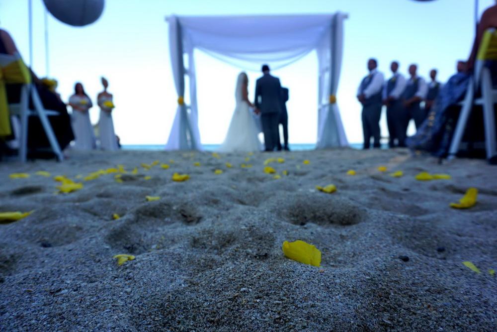 The Wedding Website of Ainesey Anaman and Francis Anaman