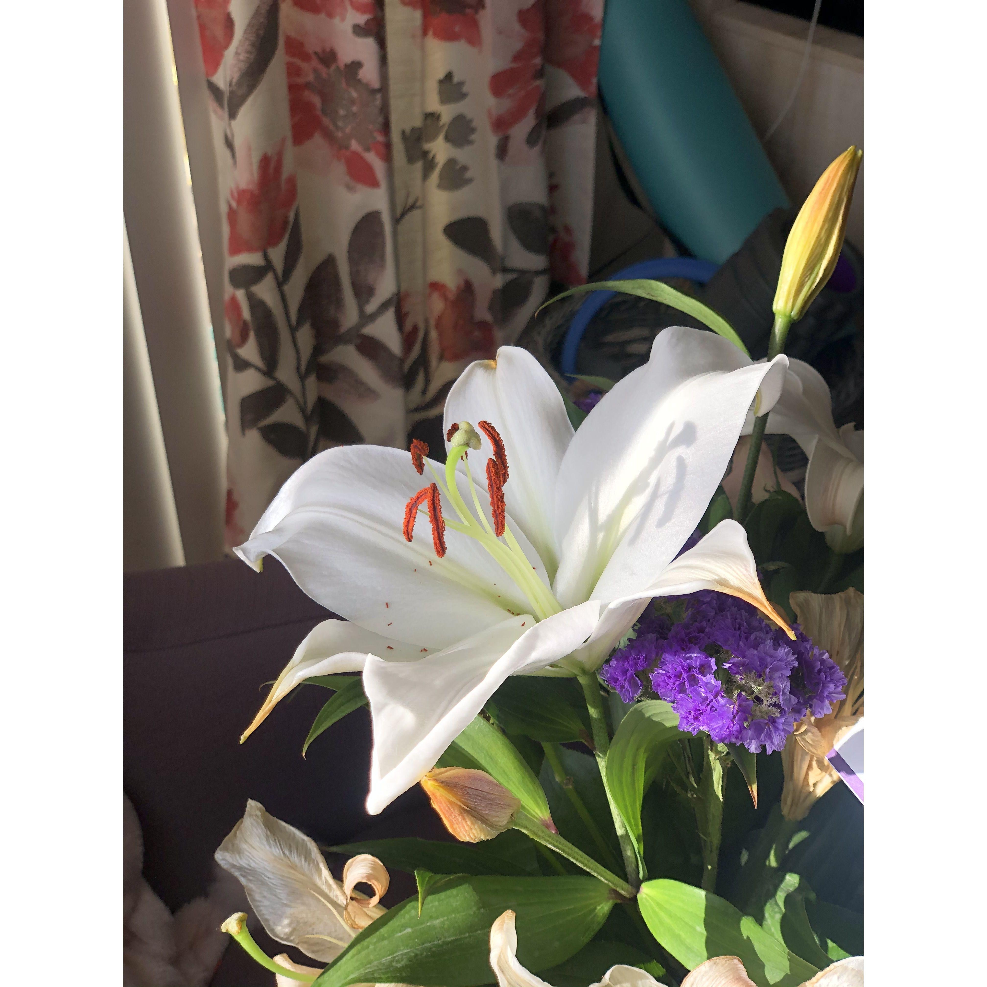 When he returned to Florida, he had flowers delivered to me.