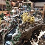 Cabela's