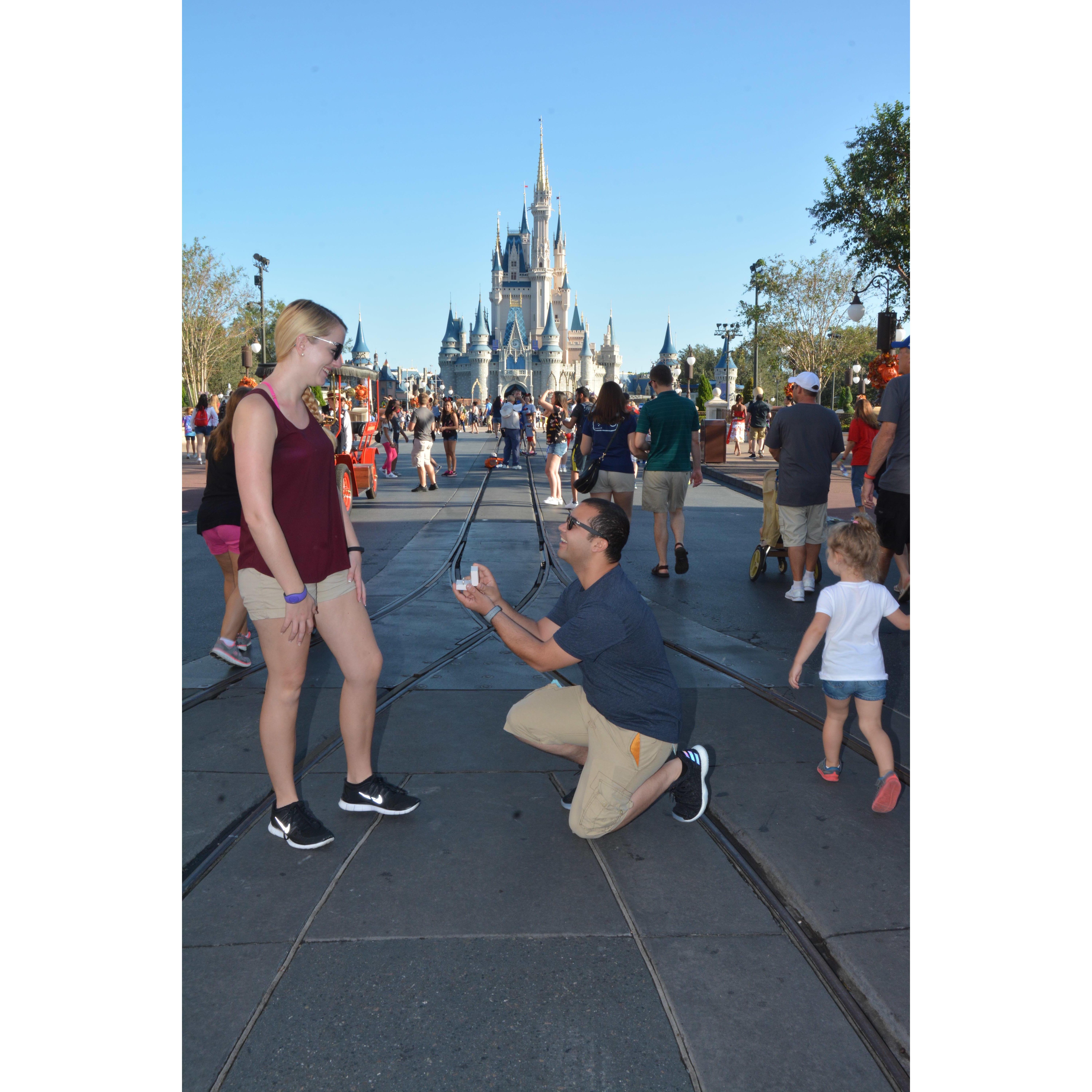 Proposal in front of Cinderella's Castle at Disney World.