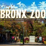 Bronx Zoo