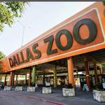 Dallas Zoo