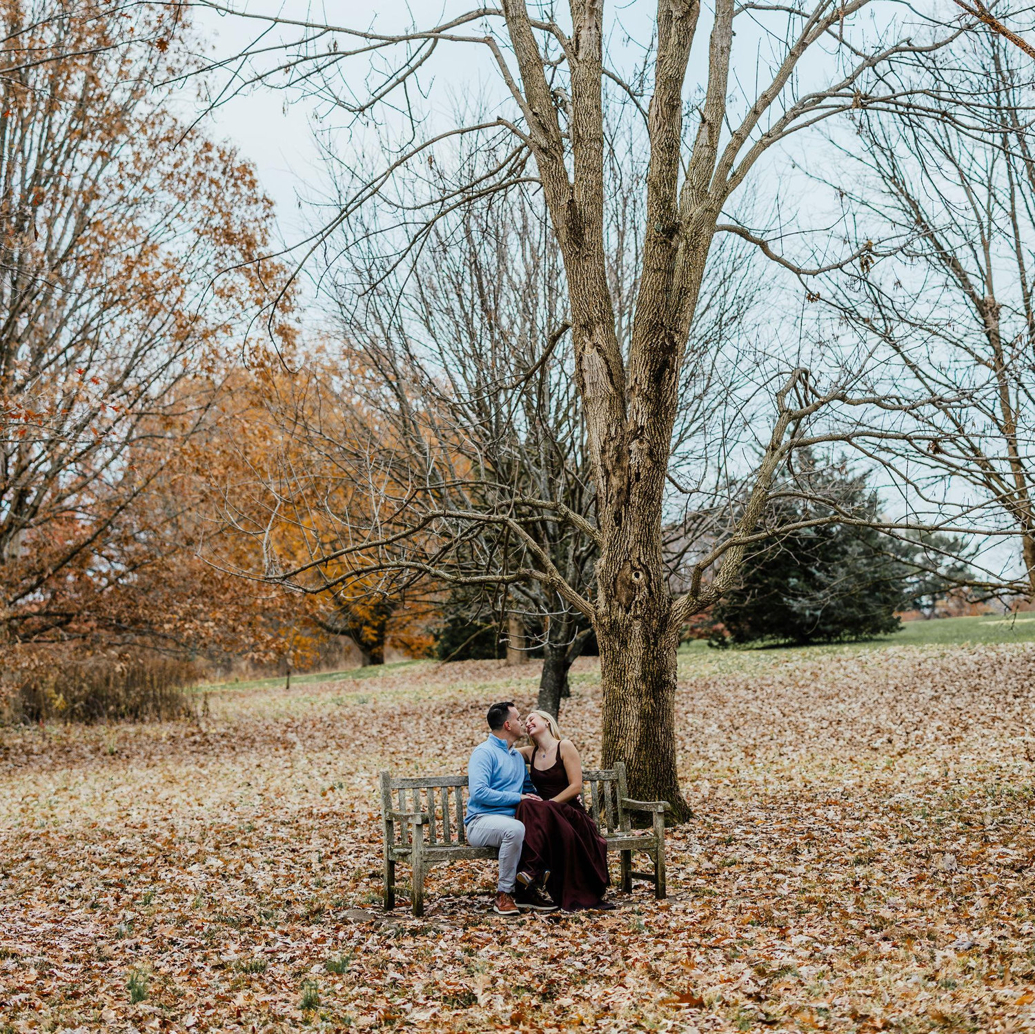 The Proposal!!! (November 2025)