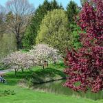 Toledo Botanical Garden