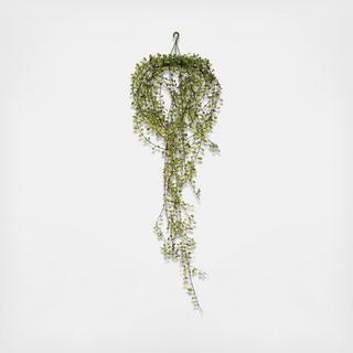 Faux Trailing Plant
