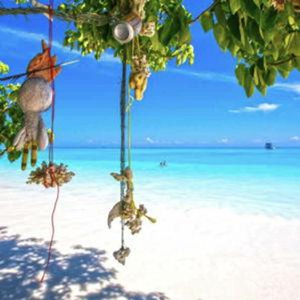 Similian Island Catamaran Tour & Snorkeling