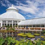 New York Botanical Garden
