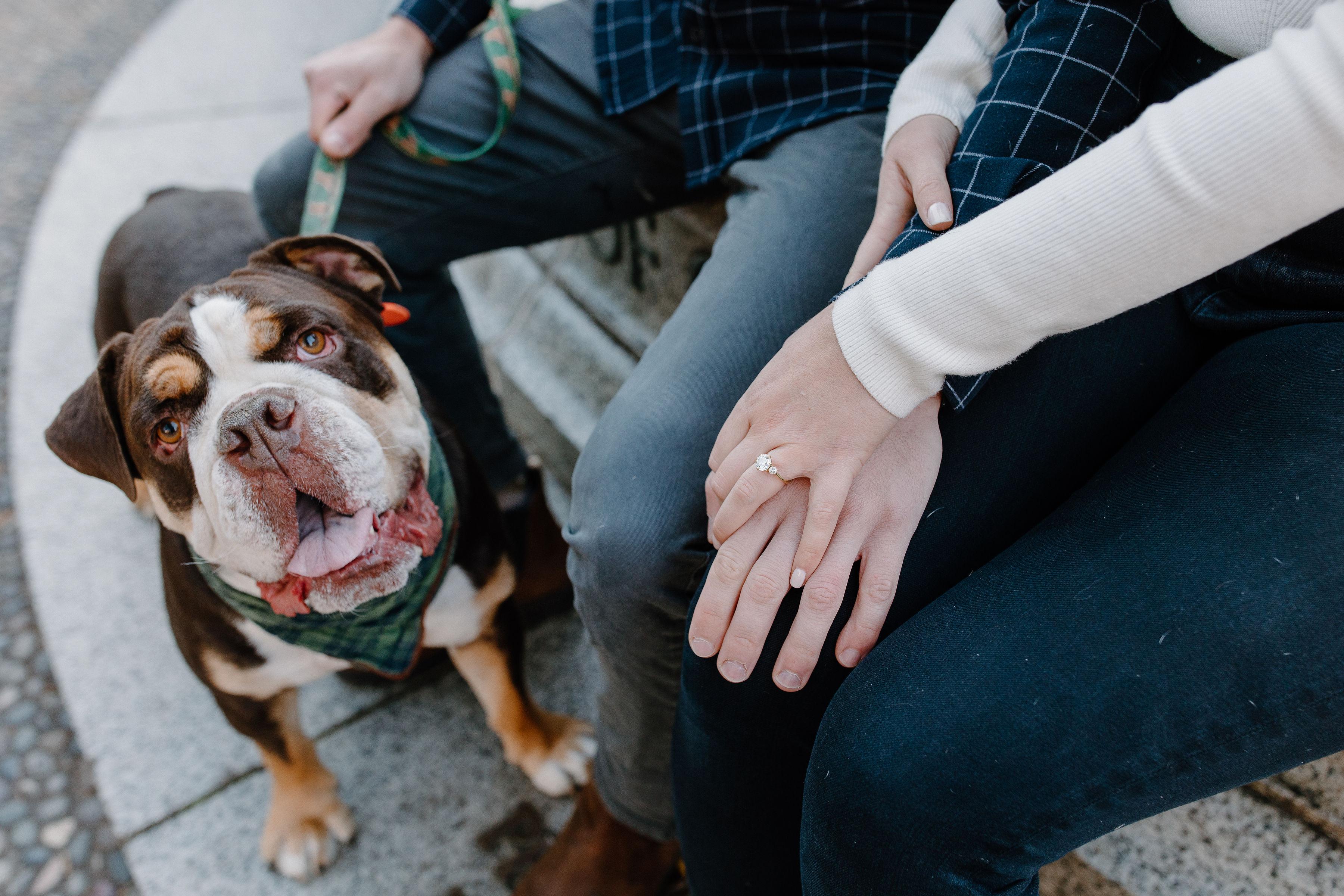 The Wedding Website of Katy Zingale and Kyle Starr