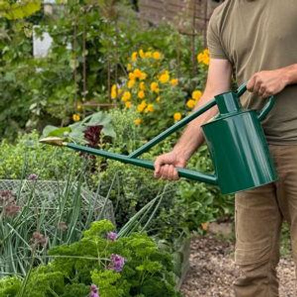 Haws "The Warley Fall" Watering Set - Full Monty Kit