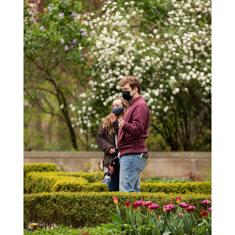 The day Alijah proposed at the Newfields Gardens. Our best friends Mckenna and Cameron were hiding in bushes to take pictures!