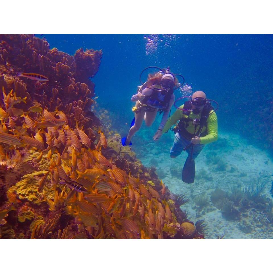 Scuba Diving in Mexico, 2017