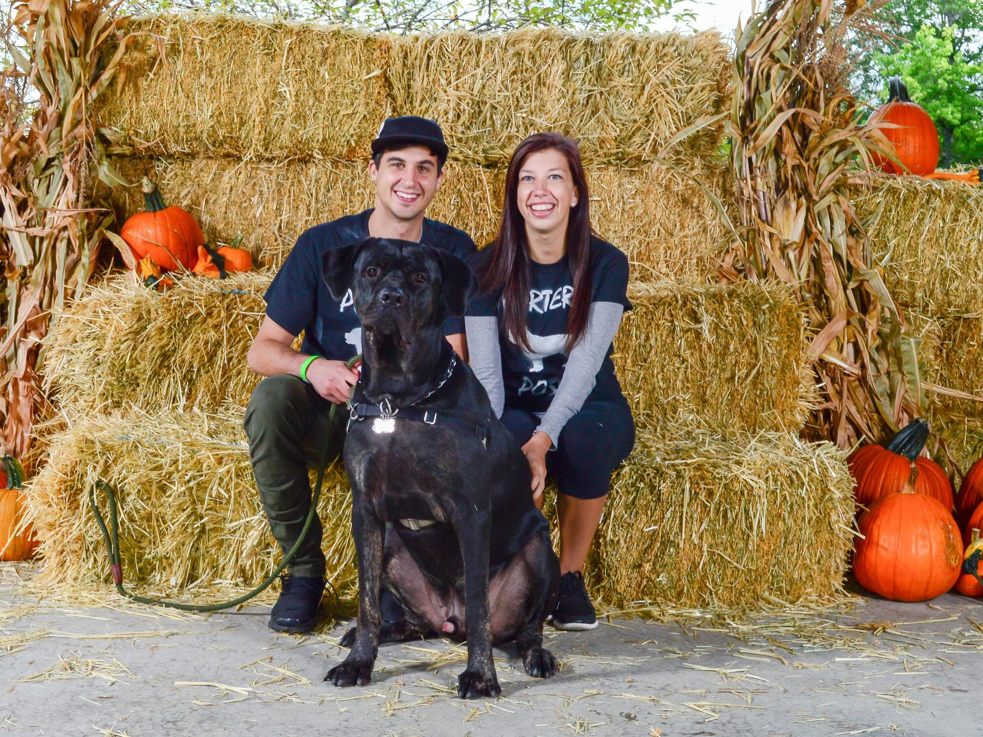 Lollypop Farm's Walk for the Animals Fundraiser Event!