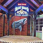 Square Grouper Tiki Bar Jupiter Inlet