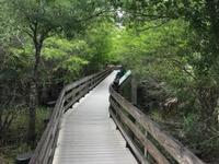 Six Mile Cypress Slough Preserve