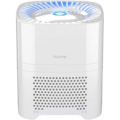 hOmeLabs 3-in-1 Compact Ionic HEPA Air Purifier - Quietly Ionizes and Purifies Air to Reduce Odor and Allergies from Mold, Smoke, Dust, Pollen and Pet Dander, White