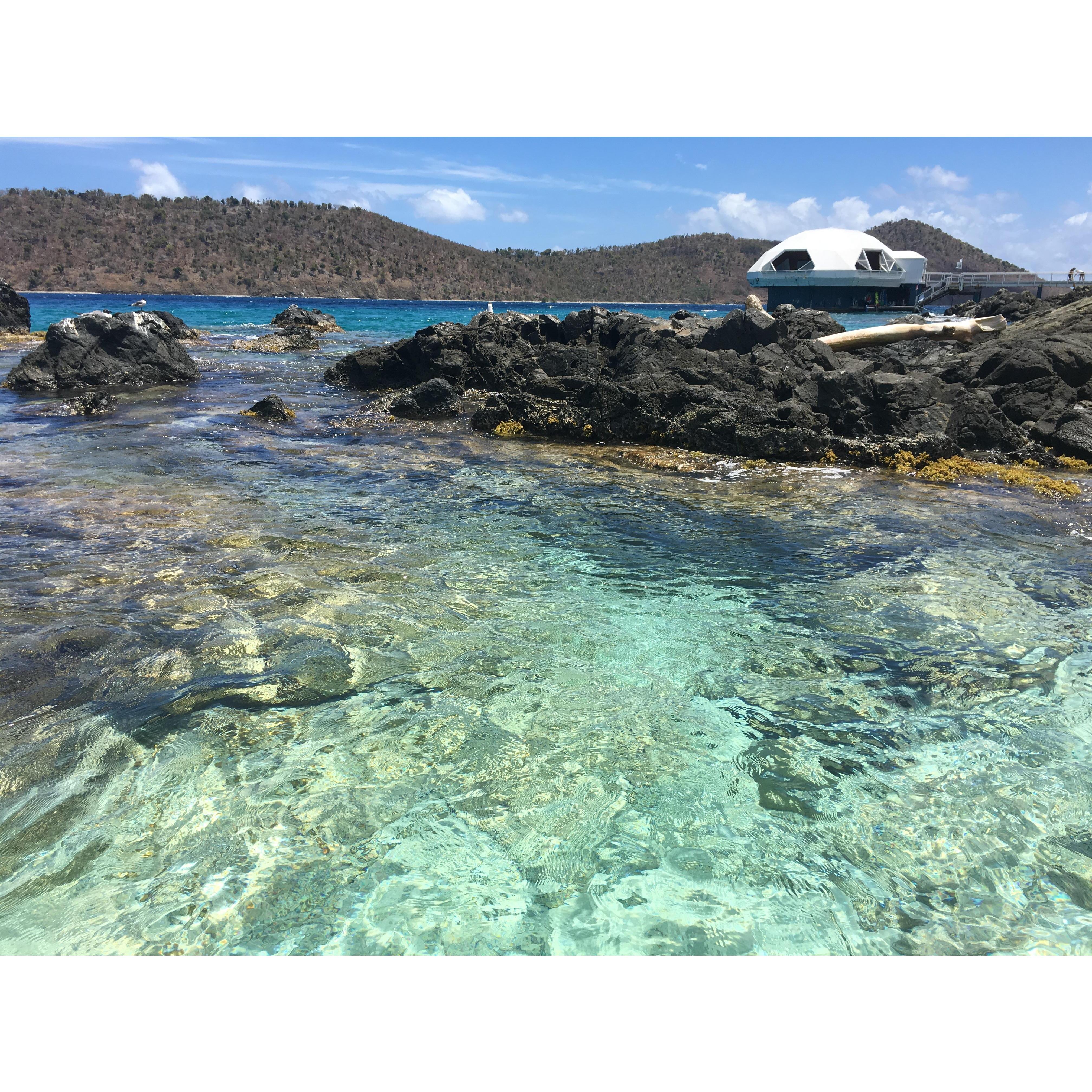 Picture from Coki Beach in the U.S Virgin Islands.