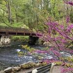 Stephens State Park