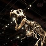 Orlando Science Center
