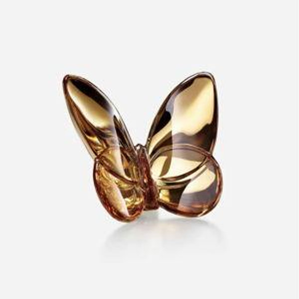 Lucky Butterfly