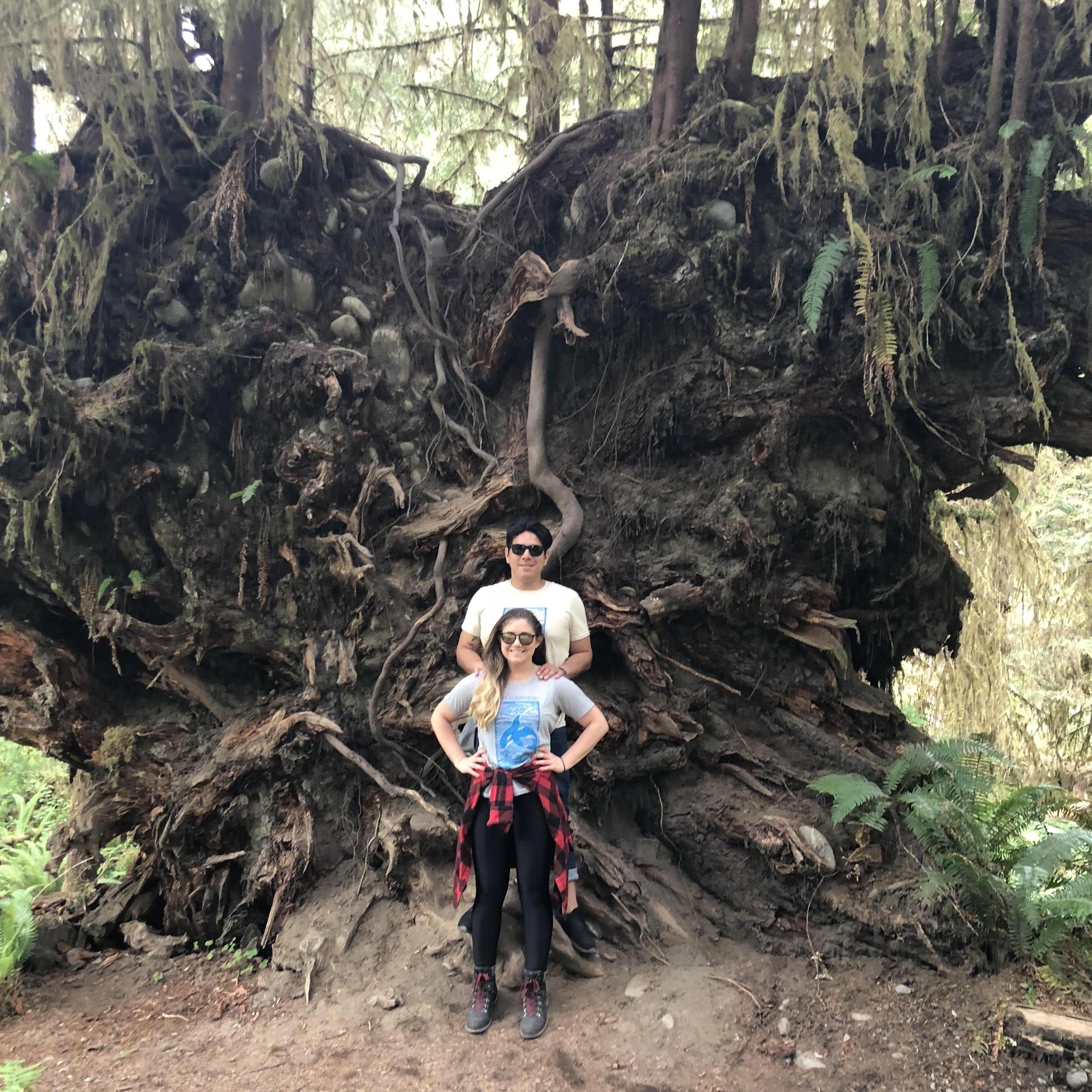 Olympic National Forest, WA