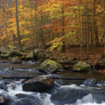 Hacklebarney State Park