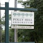 Polly Hill Arboretum