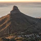 lions head