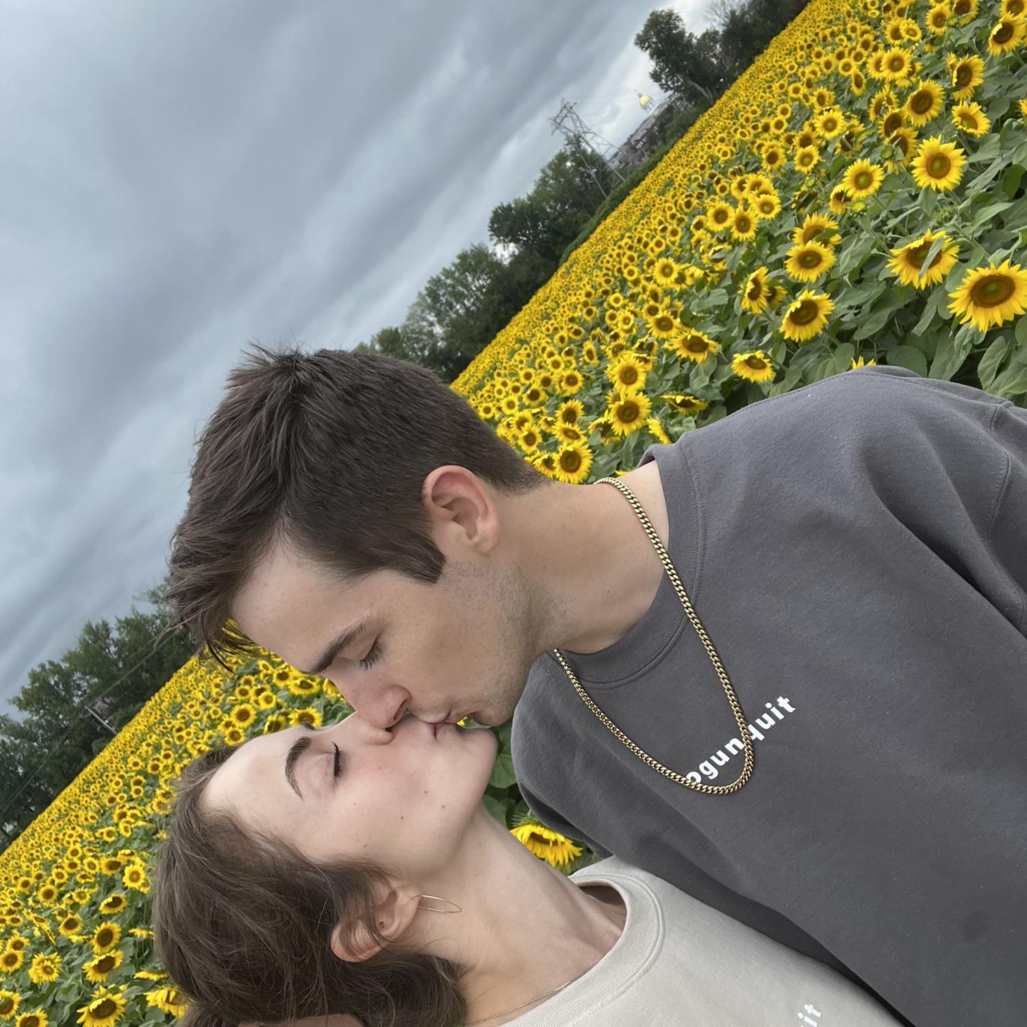 Sunflower Festival, Concord, NH