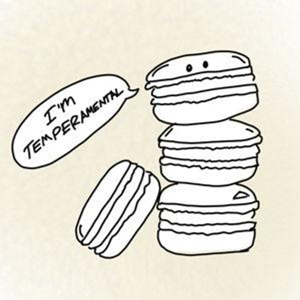 New Stove Fund: Help us make better pastries.