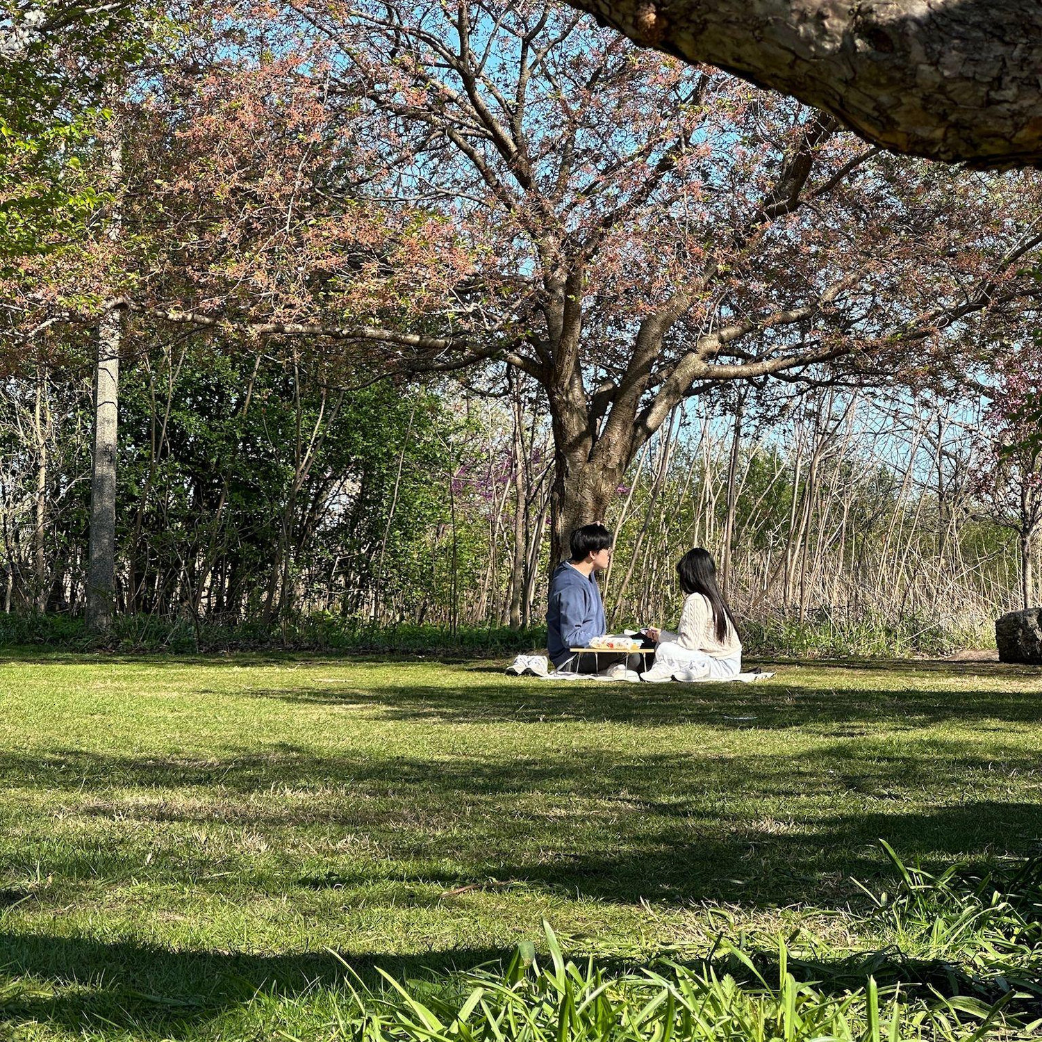 A stranger secretly took pictures of us having a picnic and airdropped them to us