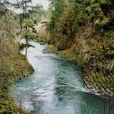 Trout Creek Wilderness Lodge