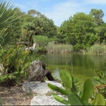 Key West Tropical Forest & Botanical Garden