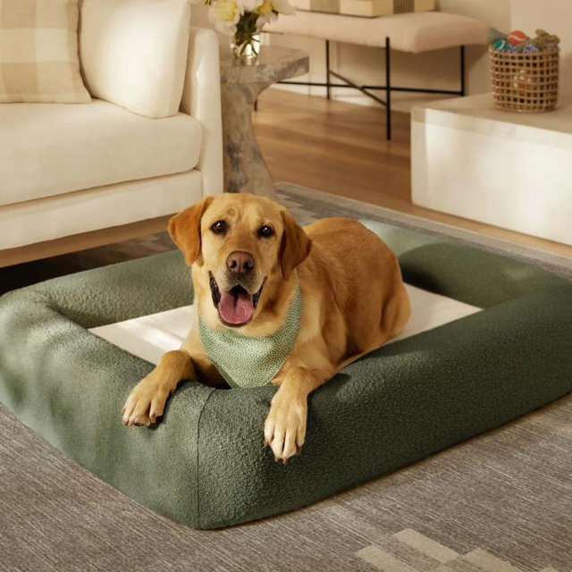 Olive Green Boucle Bolster Pet Bed | Ruggable