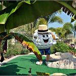 Putt'n Around