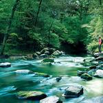 William B. Umstead State Park