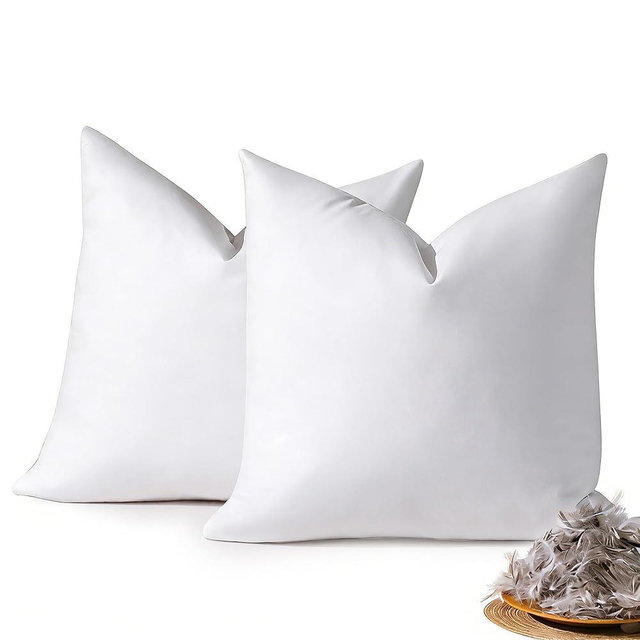 DOWNSTORIA 24x24 Euro Pillow Inserts Pack of 2, Decorative Feather Down Pillows with 100% Coton Cover,Throw Pillow for Bed, Couch and Sofa.