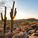 South Mountain Park and Preserve