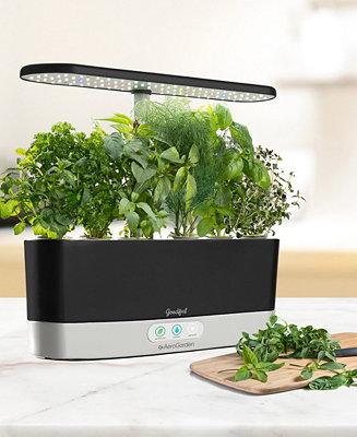 by AeroGarden Harvest Slim Countertop Garden & Gourmet Herbs Seed Kit