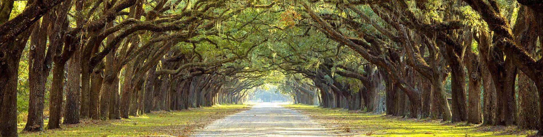 The Wedding Website of Madeleine Lucke and Anthony Schulz