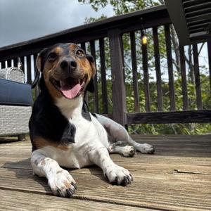Get Malcolm a backyard