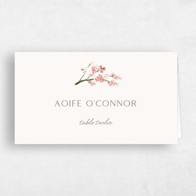 Watermelon, Pink Wedding Place Card - Allamia