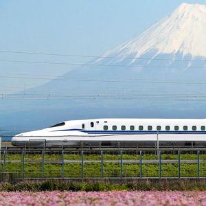 Squeezing in all the sights via shinkansen!